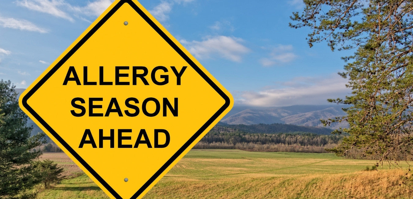 Image of a warning sign saying 'Allergy Season Ahead' with countryside background behind