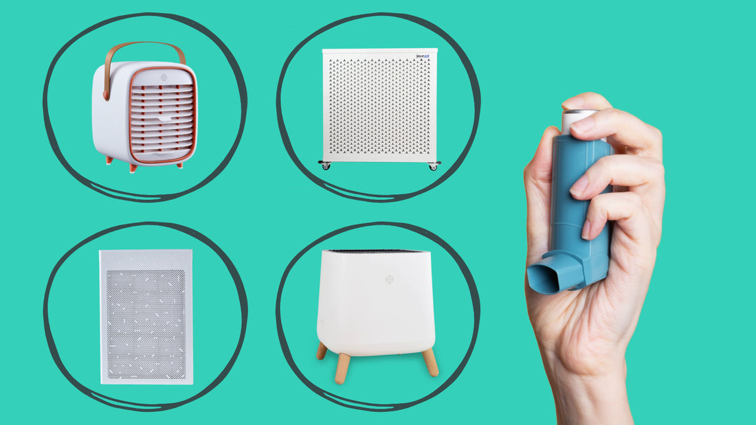 The Best Air Purifiers for Asthma in New Zealand