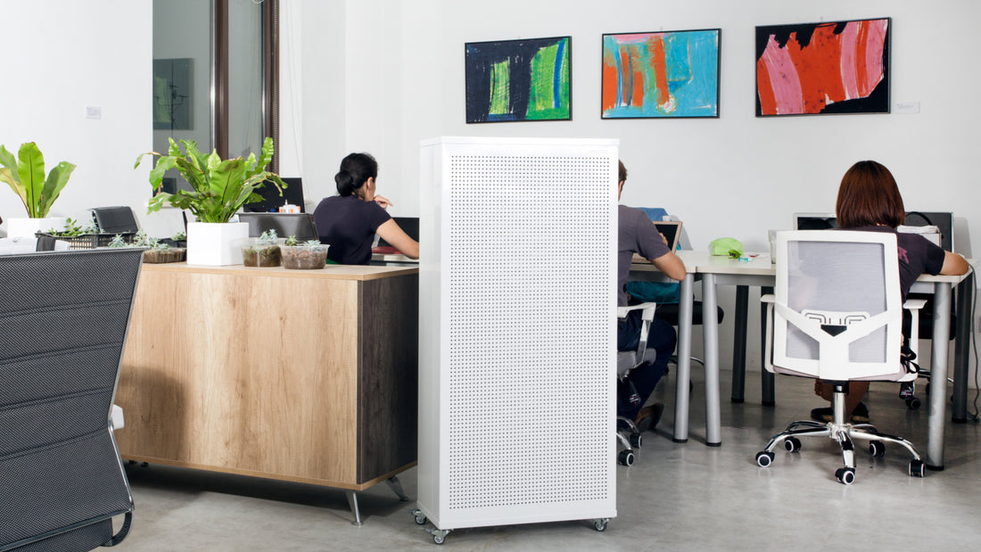 Boost Productivity: Top NZ Office Air Purifiers