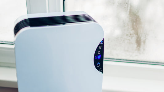 Are Air Purifier & Dehumidifier Combo Units Effective?