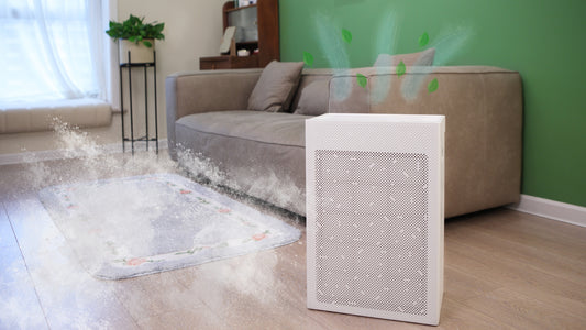 How Air Purifiers are Winning the War on Dust in NZ Homes