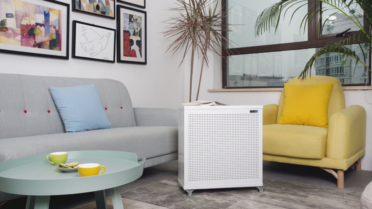 Battling Mould? How to Fight Back with an Air Purifier! - Snap Air
