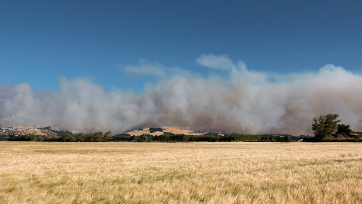 Don't Choke on Smoke: How Kiwis Can Stay Safe in Smoky Conditions - Snap Air