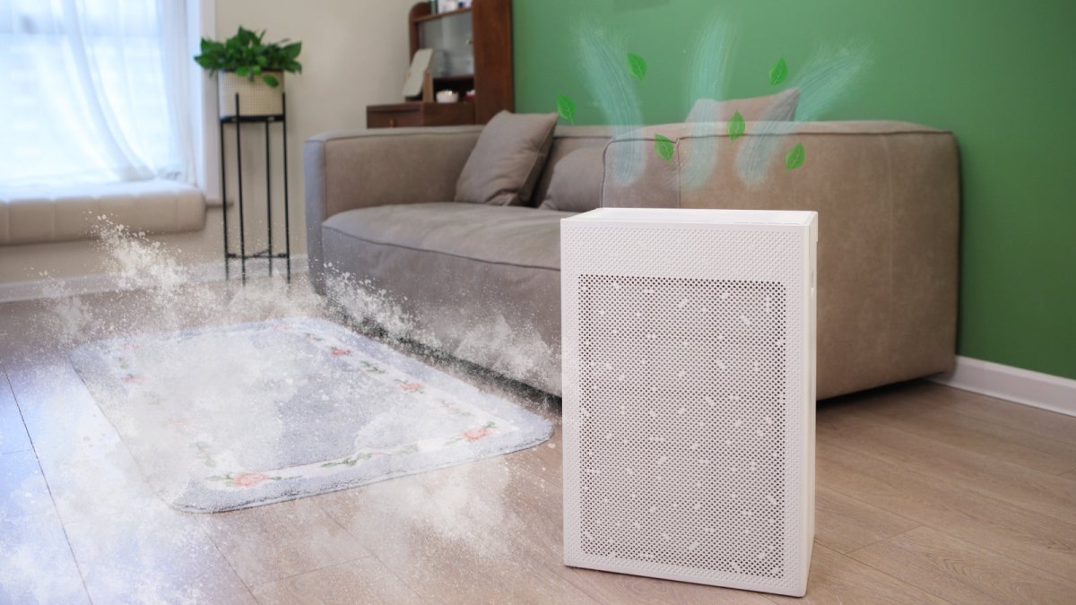 Tackle the Dust in Your Home with an Air Purifier - Snap Air