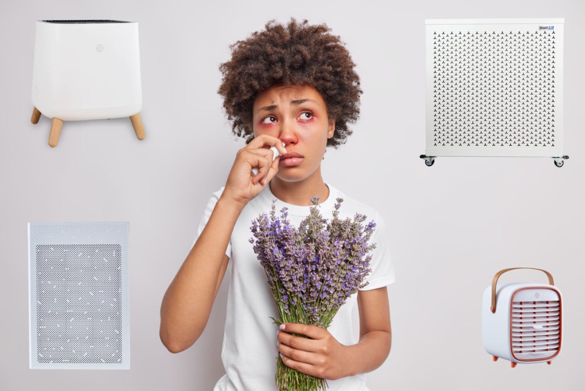 Uncovering the Best Air Purifiers for Your Allergy Relief Journey - Snap Air