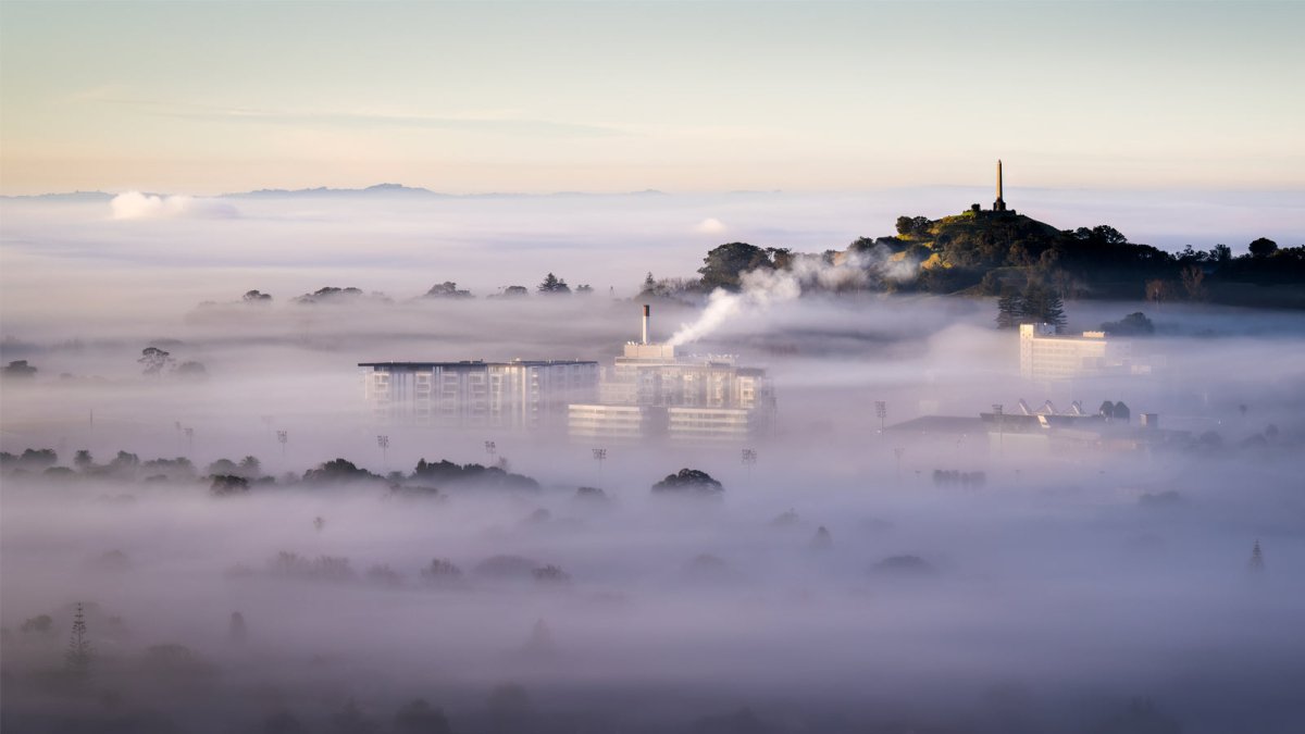 What are the Impacts of Air Pollution in New Zealand? - Snap Air