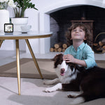 Child petting a dog in a cozy living room with a Temtop M10+ on a table.