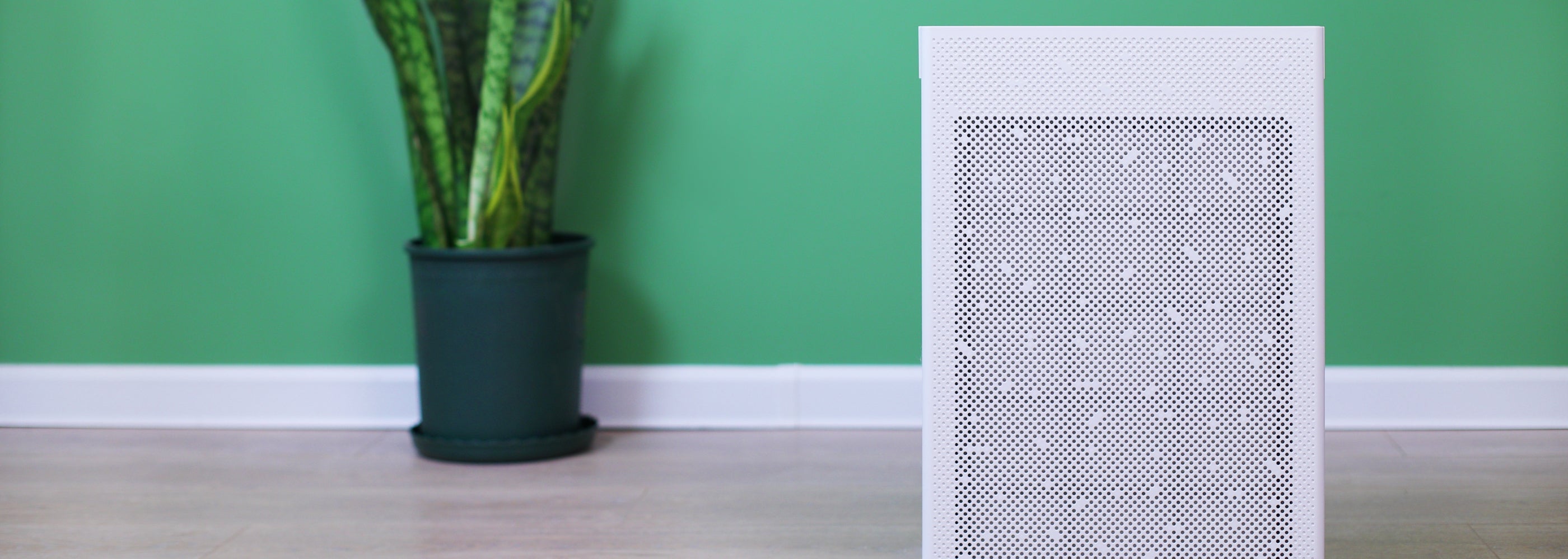 Smart Air SA600 air purifier against a green wall with a potted plant on a wooden floor in a living room.