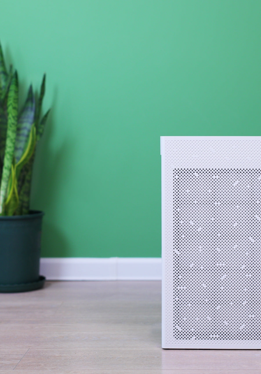 Smart Air SA600 air purifier against a green wall with a potted plant on a wooden floor in a living room.