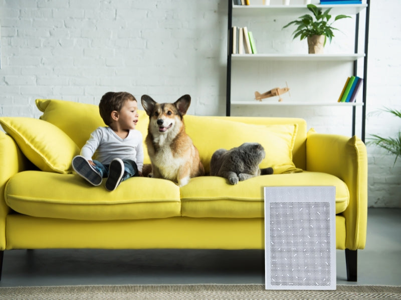 Child and pets on a yellow couch with a Smart Air SA600 HEPA air purifier in the foreground
