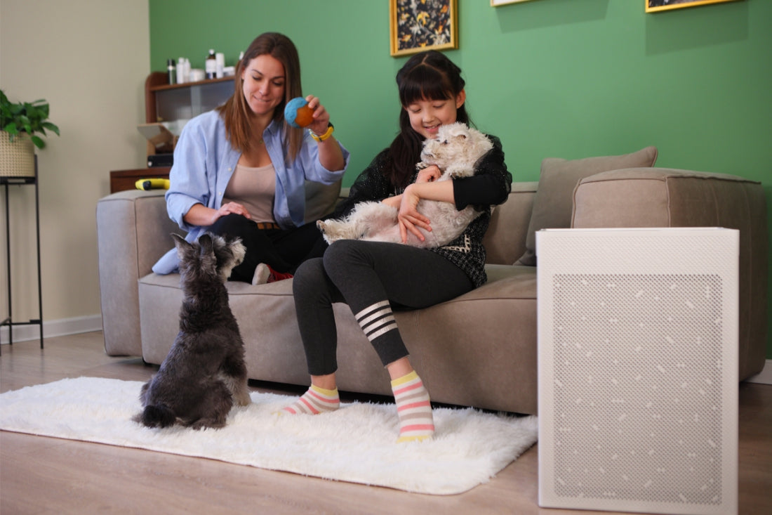 Smart Air SA600 air purifier in a lived-in living room